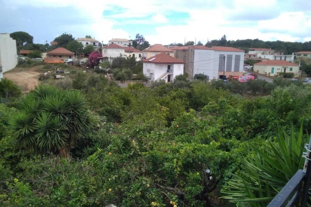 Xristina's Experience Apartment Pylos